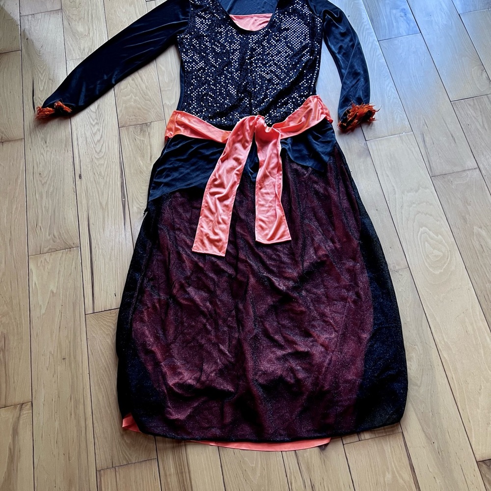 Halloween Costume - Black w/Neon orange Witch (dress)